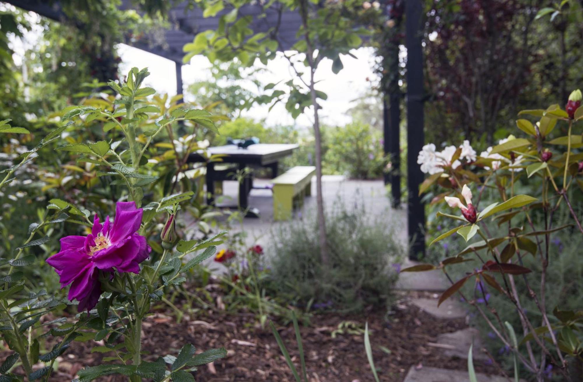 קאריקרי Treghan Luxury Lodge מראה חיצוני תמונה